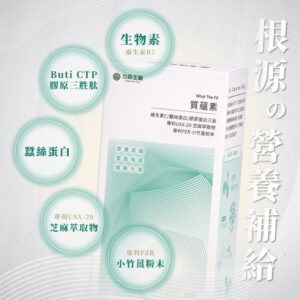力森-質蘊素-2